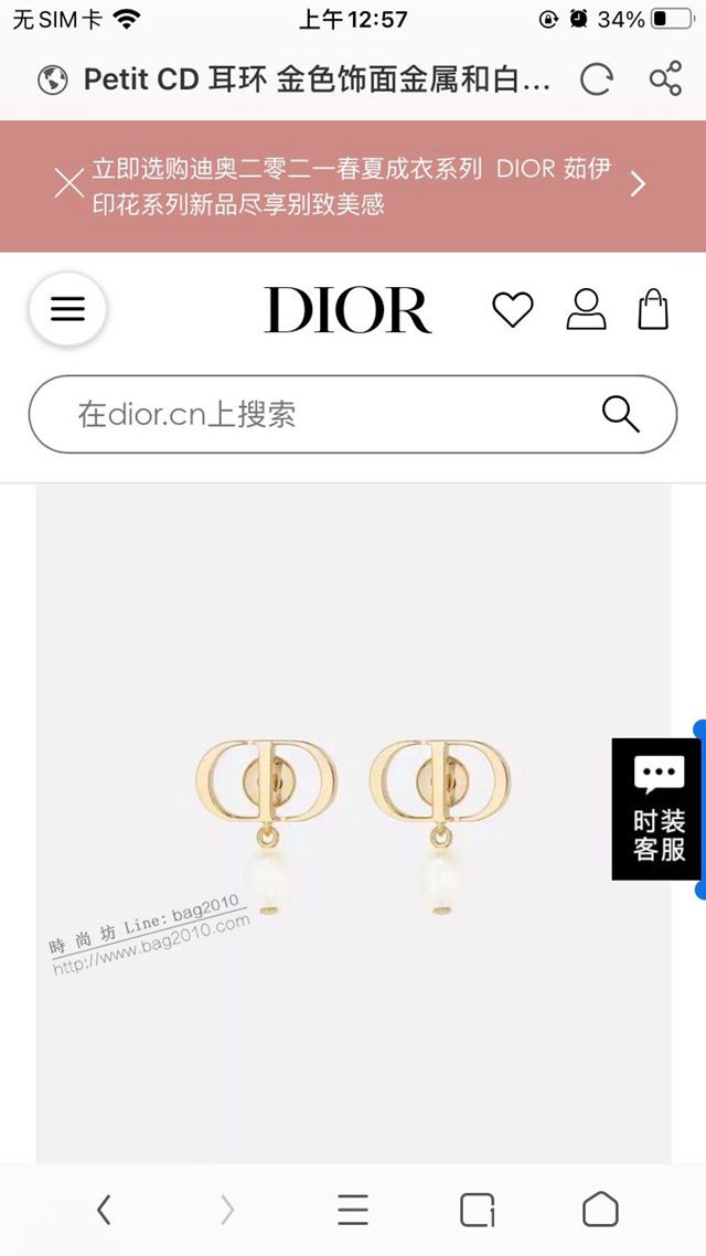 Dior飾品 2021新款DIOR迪奧字母耳釘耳環  zgd1399